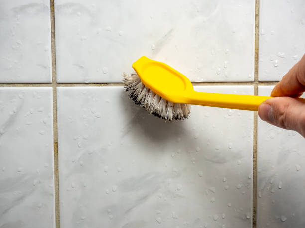Best Fast Mold Removal  in Creola, AL