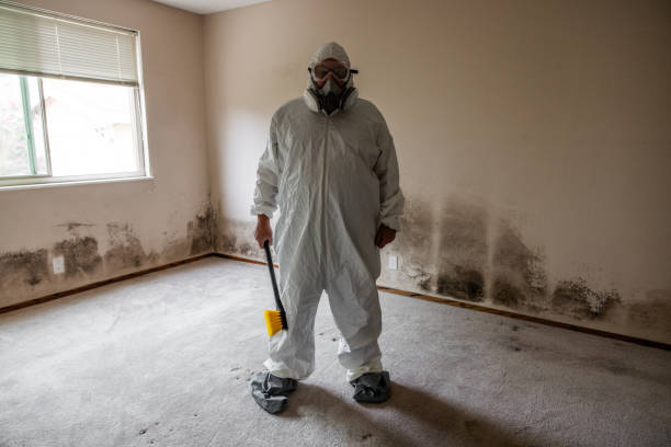 Best Mold Testing  in Creola, AL